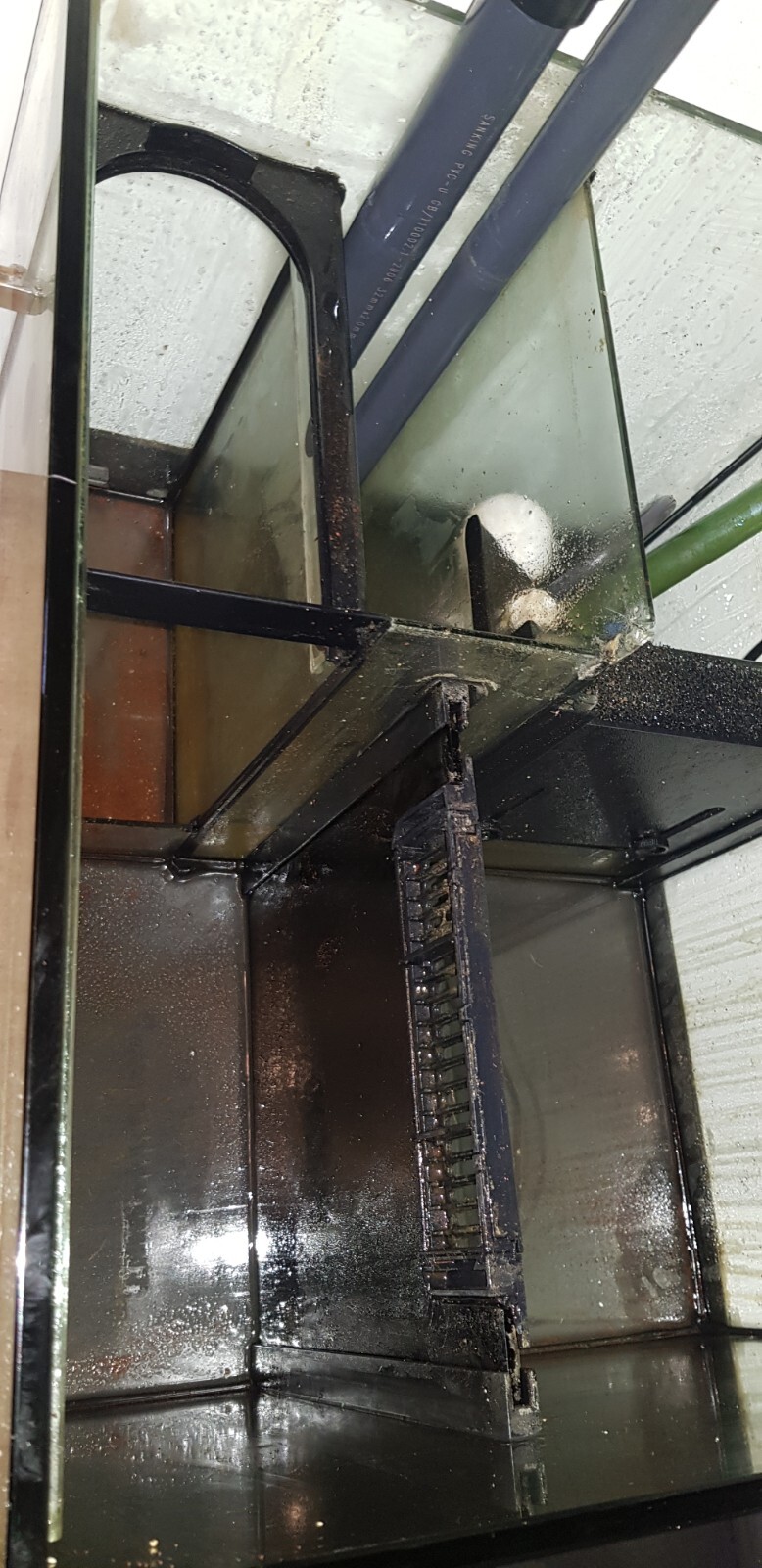 Red Sea Reefer 250 Marine Tank Equipment and Gear Full Working