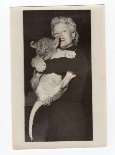 Isa Miranda & Lion Circus France Old Press Photo 1955 - Picture 4 of 4