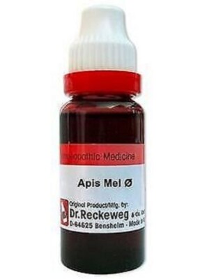 Dr. Reckeweg Apis Mel Mother Tincture Q Homeopathy Medicines 20ml