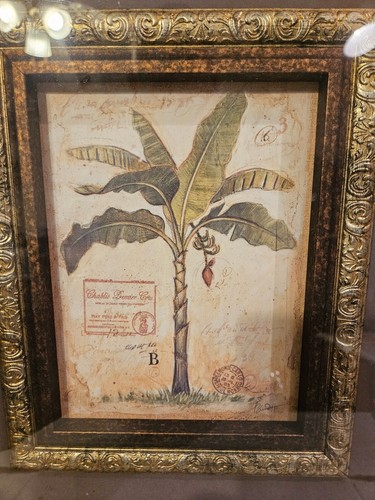 Chad Barrett Banana Palm Offset Lithograph Artwork Beautiful 21 X 23 wood framed - Picture 6 of 12
