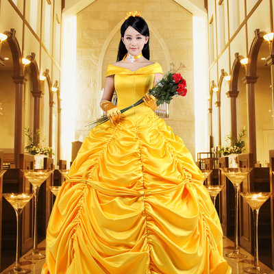Beauty and the Beast Belle Disney Cosplay Costume Dress BEAUTY AND