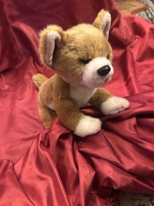 Hats & Jules Chihuahua Plush Washable Brown White Small (6-14 in) 2011 644