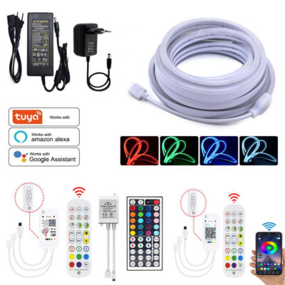 16 color Tuya WiFi App controller RGB Neon Strip light rope lamp Remote Music 