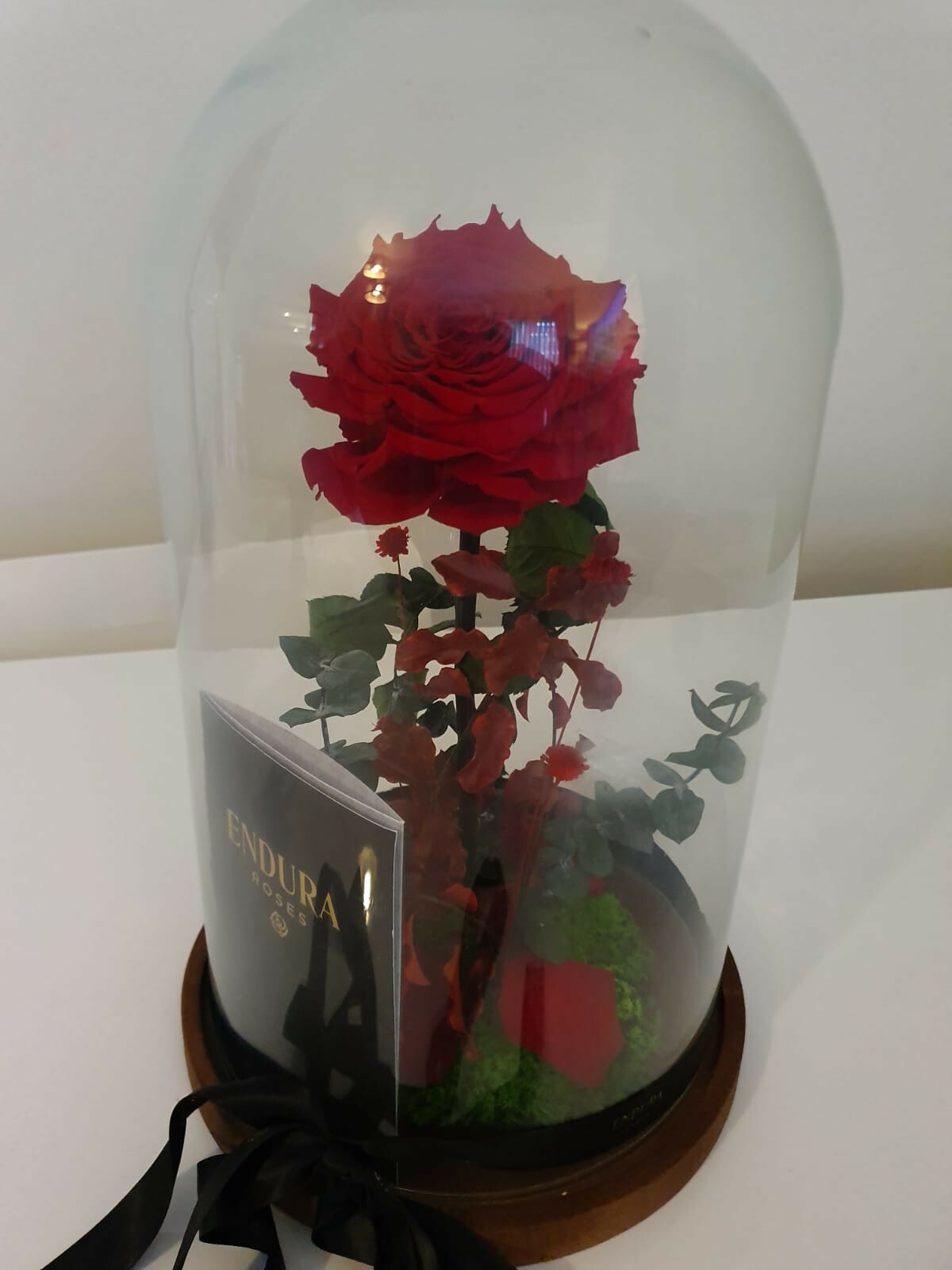 Endura Roses Forever Rose Large eBay