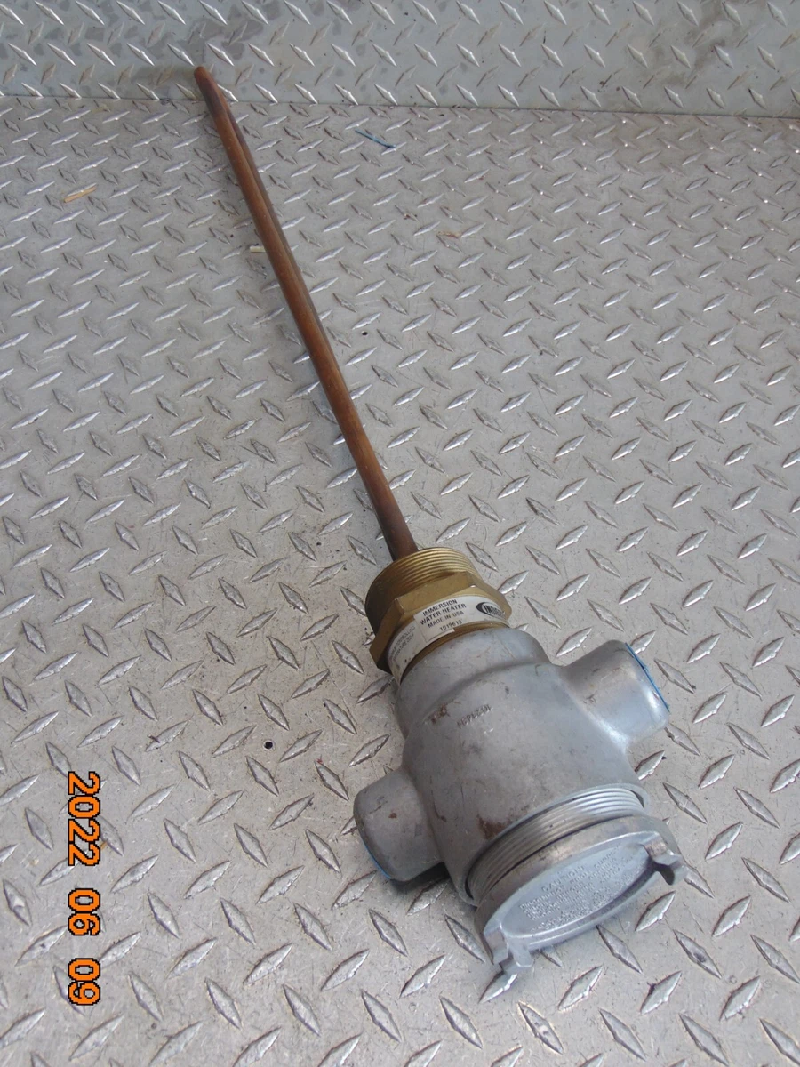 INDEECO 7131ZT229331 IMMERSION WATER HEATER 3000W 480V 1-PHASE | eBay