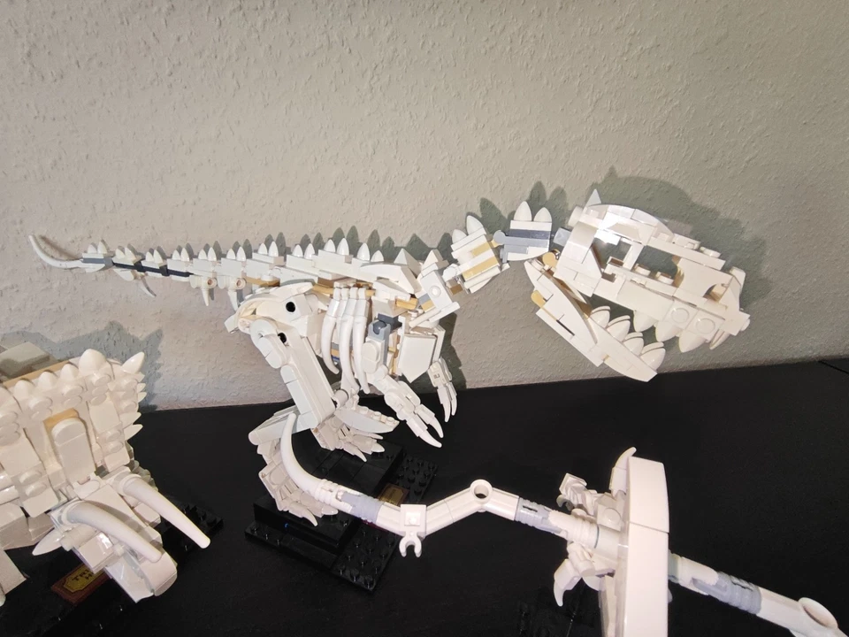 LEGO Ideas 21320 Dinosaur Fossils, Foto 4 von 5