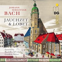 Bachwerkvokal - J.S. Bach Cantatas Motets - Sacd - F600Z