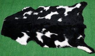 GOAT Western taxidermy Hide Rug Natural Pattern Fur Goat Hide Rode SA 3811