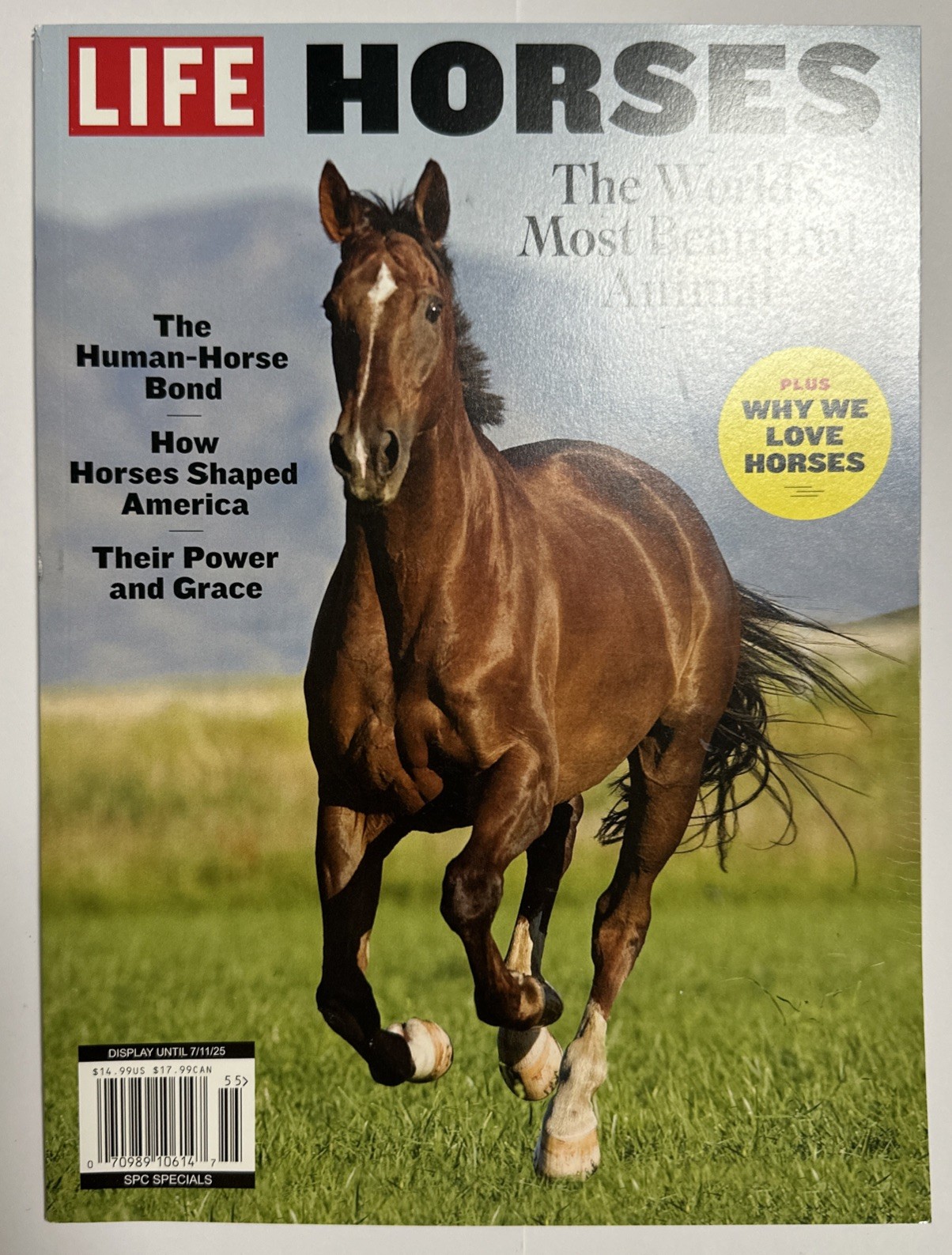 Life Magazine HORSES  The World's Most Beautiful Animal  Special Edition New