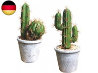 KüNstliche Pflanzen- Sukkulente Kunstpflanze Im Topf Mini KüNstliche Pflanzen S