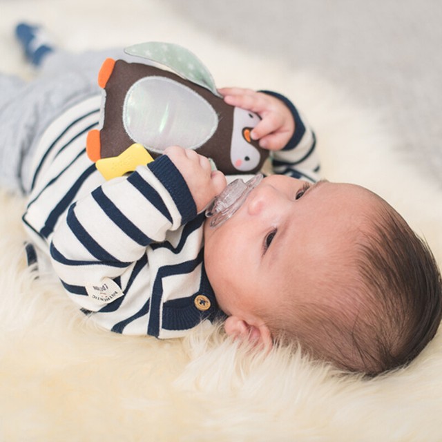 taf toys prince the penguin baby soother