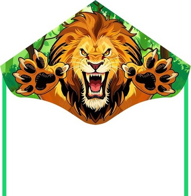 Large Kite for Kids & Adults Easy to Fly Kite, Perfect for Holiday Fun, Outdoor