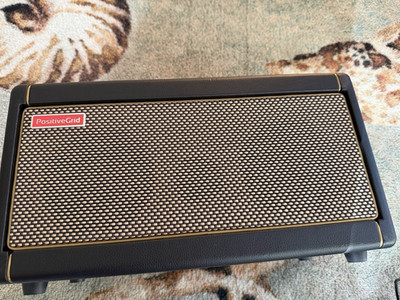 Positive Grid Spark 40 40W Modeling Combo Amp, 2 Speakers, 1 Channel