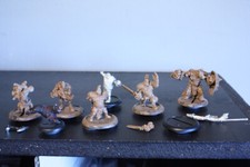 Hordes Trollbloods HOARLUK Doomshaper Sons of...