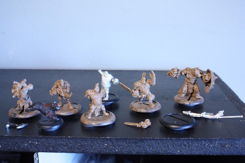 Hordes Trollbloods HOARLUK Doomshaper Sons of Bragg Standard Metal Lot warmachin