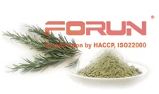 FORUN Premium Rosemary Powder (Ground) - Fresh Green 
