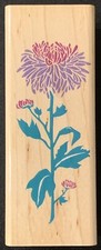 Rubber Stampede Posh Impressions Flower Marvelous Mum Rubber Stamp
