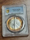 1991 American Silver Eagle PCGS MS68 Monster Toning Toned Coin (Slab1063) (TNO)