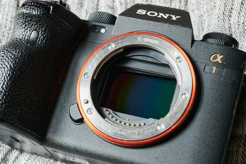Sony Alpha 1, Foto 2 von 5