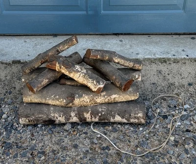VINTAGE MCM ELECTRIC LIGHT UP FIRE WOOD LOGS BIRCHWOOD WORKING FAUX FIRE INSERT - Image 1 of 4