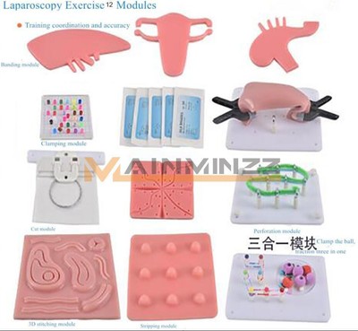 Laparoscopic Surgery Training Box Simulated Surgical Equipment Practice Tools #W