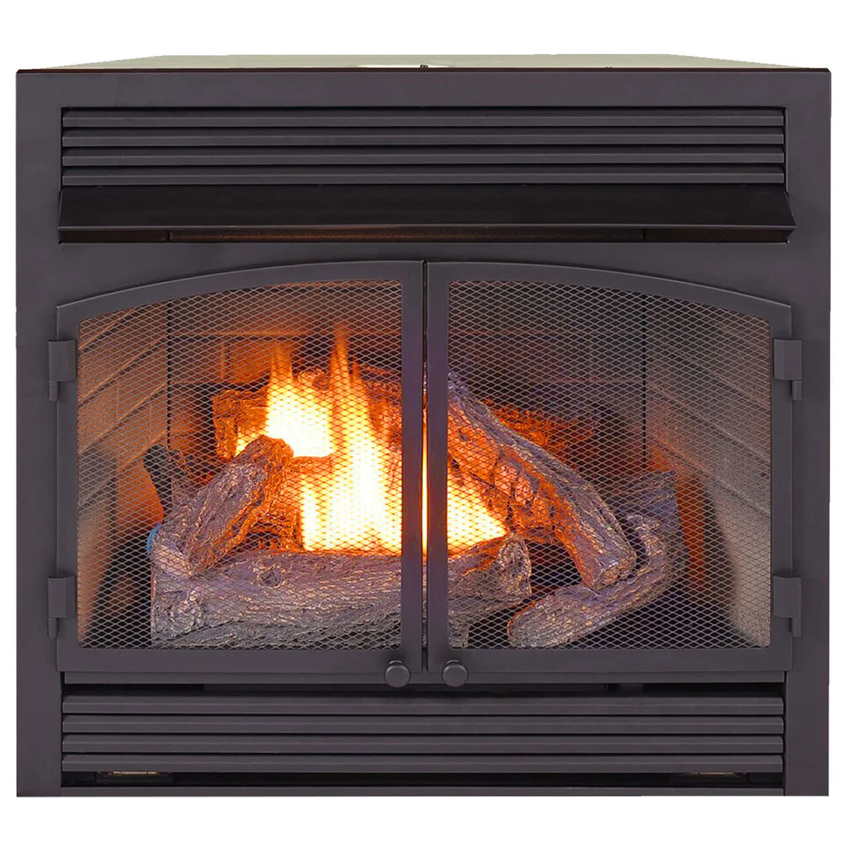ProCom Recon Dual Fuel Ventless Gas Fireplace Insert 32,000 BTU  #FBNSD400RT-ZC-R | eBay