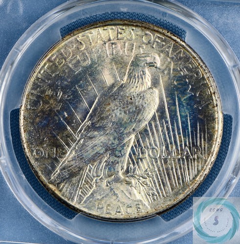 1925 Peace Dollar PCGS MS66 - One of a Kind Brilliant Pastels!!! - Picture 11 of 13