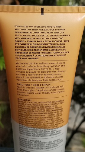 LOTTO 4 BALSAMO ACURE HAIR WELLNESS ALLENAMENTO QUOTIDIANO ANGURIA SANGUE ARANCIO 8 OZ - Foto 13 di 14