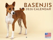 Basenji Calendar 2026 Monthly Wall Calender 12 Month American Made In The USA
