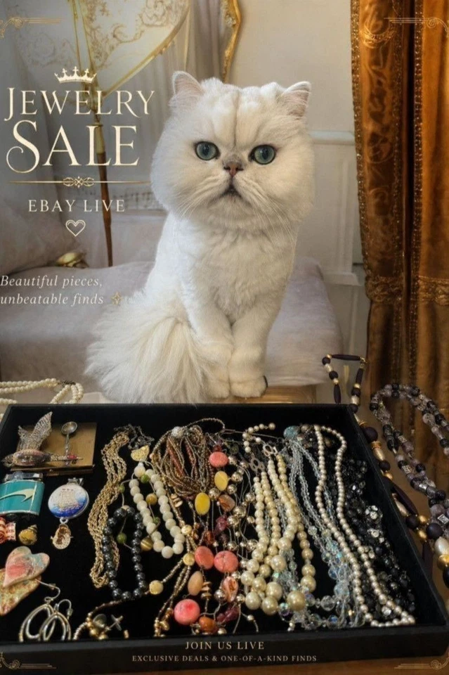 Vintage and Contemporary Costume Jewelry.