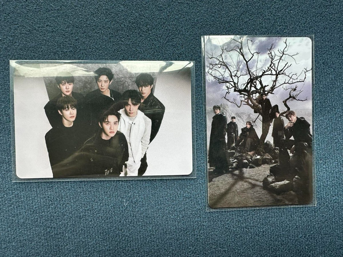 EXO reverxe qqmusic 中国限定 トレカ 13枚セツト EXO reverxe qqmusic 中国限定 トレカ 13枚セツト 【公式通販】