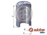 Kolben Bremssattel Autofren Seinsa D025351 FüR RAV Toyota Verso Yaris 32Mm Stahl
