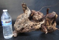 manzanita burl wood  D126 13 1/4" x 6 3/4" x 6 1/2"