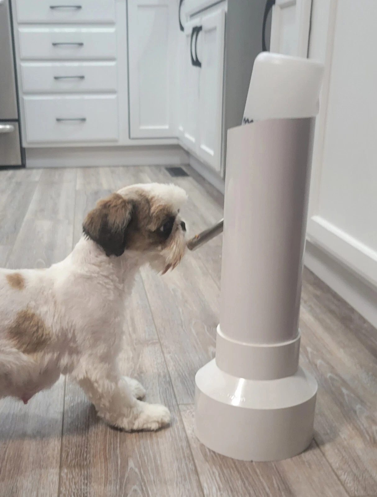 Portable Free Standing Pet feeding Water Bottle Dispenser Puppies Dog Shih Tzu