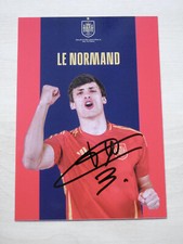 Robin Le Normand European Champion 2024 autograph signed 10x15 cm postcard Spain