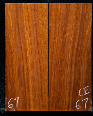Cabbage Bark #67 Knife Scales 5'' x2''x 7/16'' see 100 species in my store