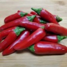 25  seeds Chile de Comida hot pepper garden planting spicy food