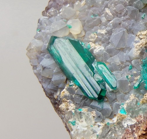 DIOPTASE crystals on QUARTZ ! -- Republic CONGO - Pool Department SANDA /pj719 - Picture 4 of 13