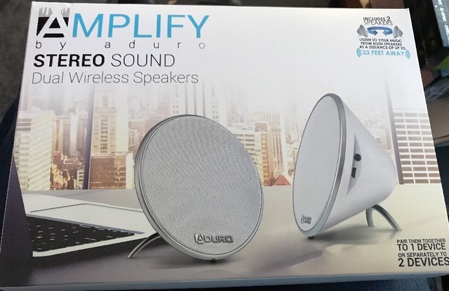 dual wireless speakers