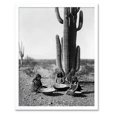 Photo Vintage Curtis Native American Saguaro Gatherers Arizona Framed Art Print