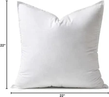 22x22 Down Pillow Insert Euro Decorative Throw Pillow 22 Inch Filling Bed Couch