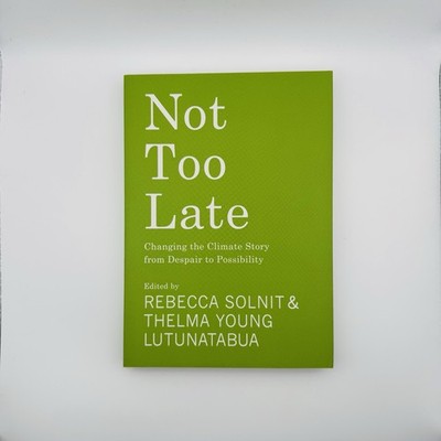 Not Too Late : Changing the Climate Story from Despair to Possibility by Thelma