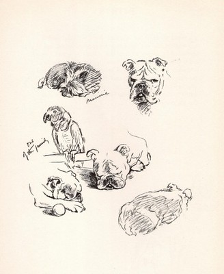 English Bulldog ''Family'' - 1937 Lucy Dawson Vintage Dog Art Print