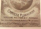 Foto 11 di 11
