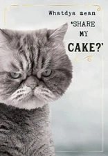  Birthday Card Whatdya Mean 'Share My Cake?' Humor Funny Sassy Cat Friend Her