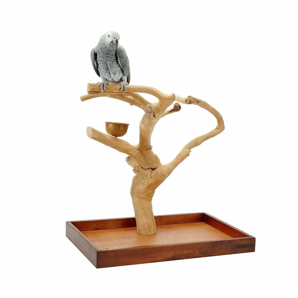 Java Tree Hardwood Mini Tree Conure, African Grey, Parrot Table Top Play Stand - Image 2 of 2