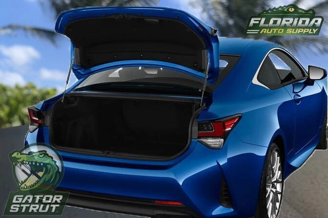 Dois porta-malas com suporte de elevação spoiler FAS-599 para: 2009-2015 Nissan Maxima com spoiler - Imagem 2 de 4