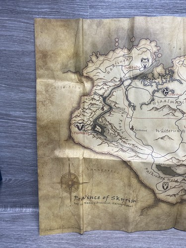 Province Of Skyrim Canvas Type Map - Original Game Poster - 2011 Textured - Picture 2 of 5
