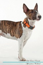 Miniature Bull Terrier Affirmations Workbook Miniature Bull T... - 9781526971678