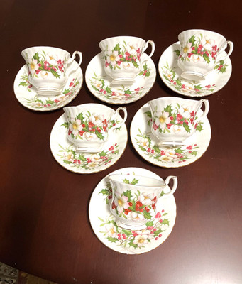 RARE Royal Albert ''Winter Garden'' Cup & Saucer England  one set of 6 NEW